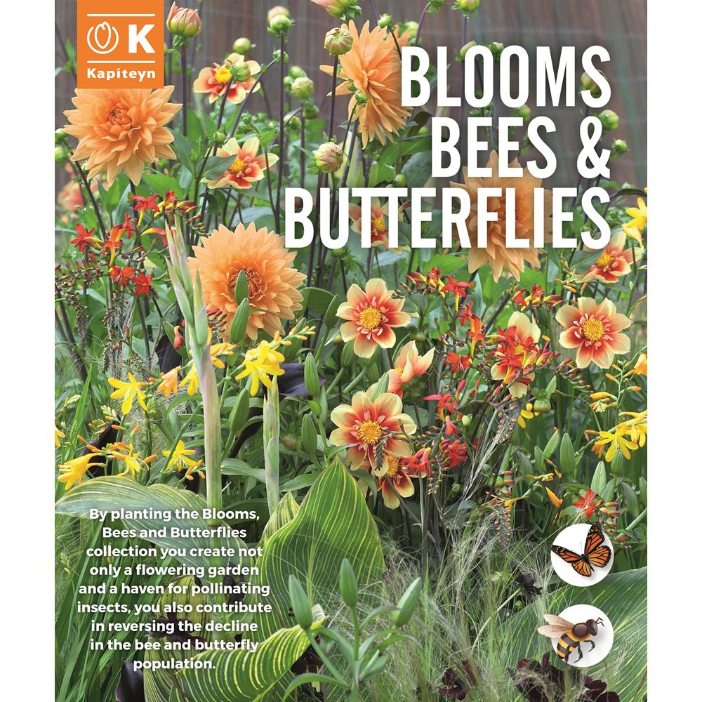 How to Create Continuous Blooms for Bees and Butterflies All Season