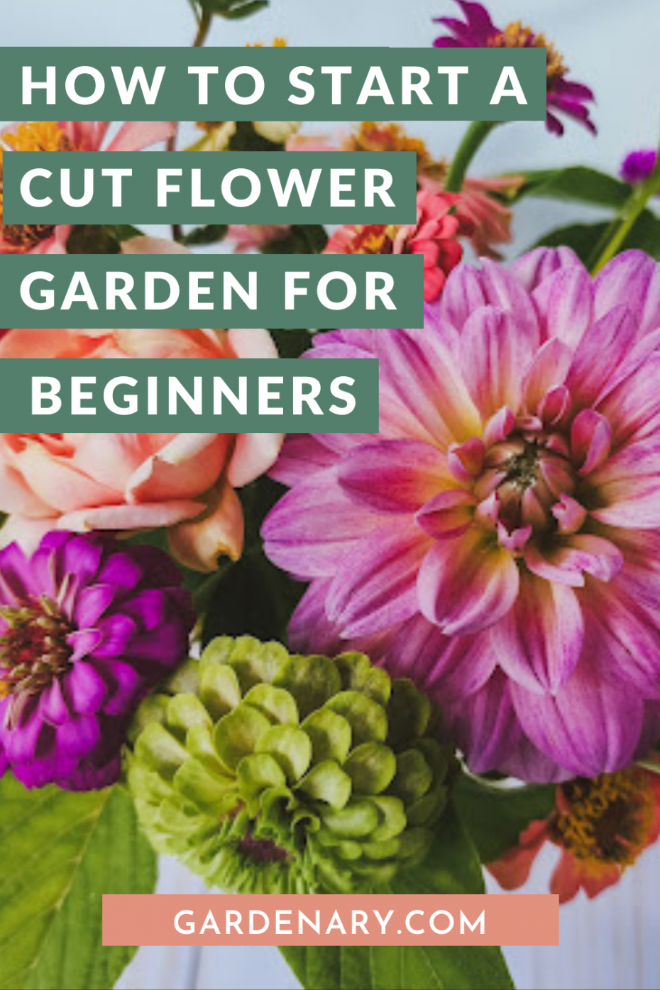 Cut Flower Garden Beginner At Herman Stpierre Blog inside Stop Guessing Start Growing Simple Layout Tips for Beginner Cut Flower Gardens