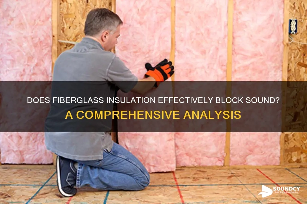 Does Fiberglass Insulation Effectively Block Sound? A Comprehensive ... inside Sound Insulation Design
