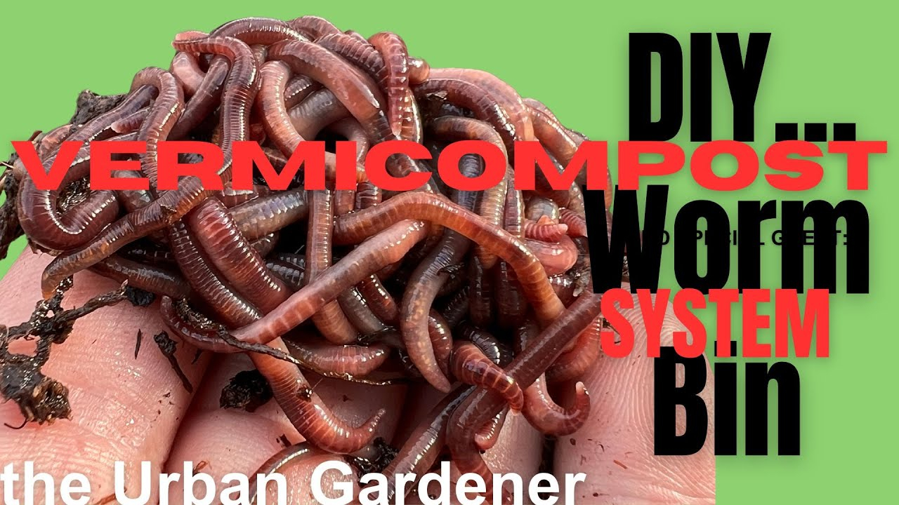 Easy Diy Worm Bin! | How To Set Up A Home Vermicompost System - Youtube throughout Vermicomposting Design
