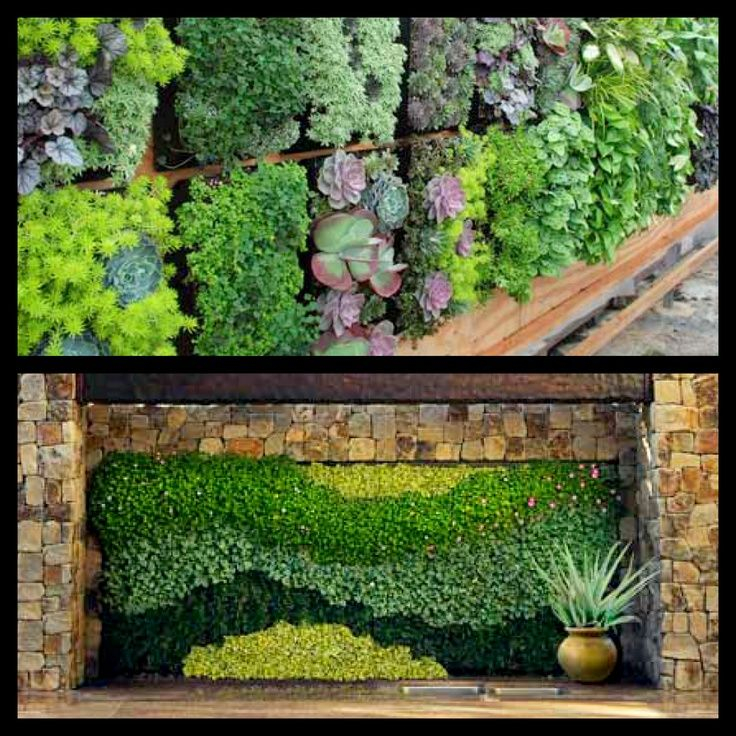 Designing an Edible Wall That Looks Stunning and Tastes Even Better