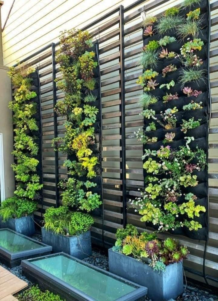 Edible Walls Gallery – Artofit with regard to Outdoor Edible Wall Design