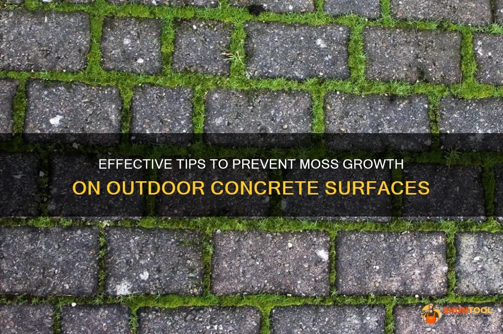 Effective Tips To Prevent Moss Growth On Outdoor Concrete Surfaces ... inside Expert Secrets for Growing Thriving Moss Outdoors Without the Common Beginner Mistakes
