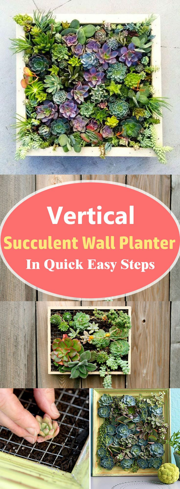 First Class Diy Succulent Planter Wall Wooden Fence Boxes with Outdoor Succulent Wall Design