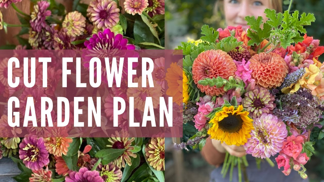 Stop Guessing Start Growing Simple Layout Tips for Beginner Cut Flower Gardens