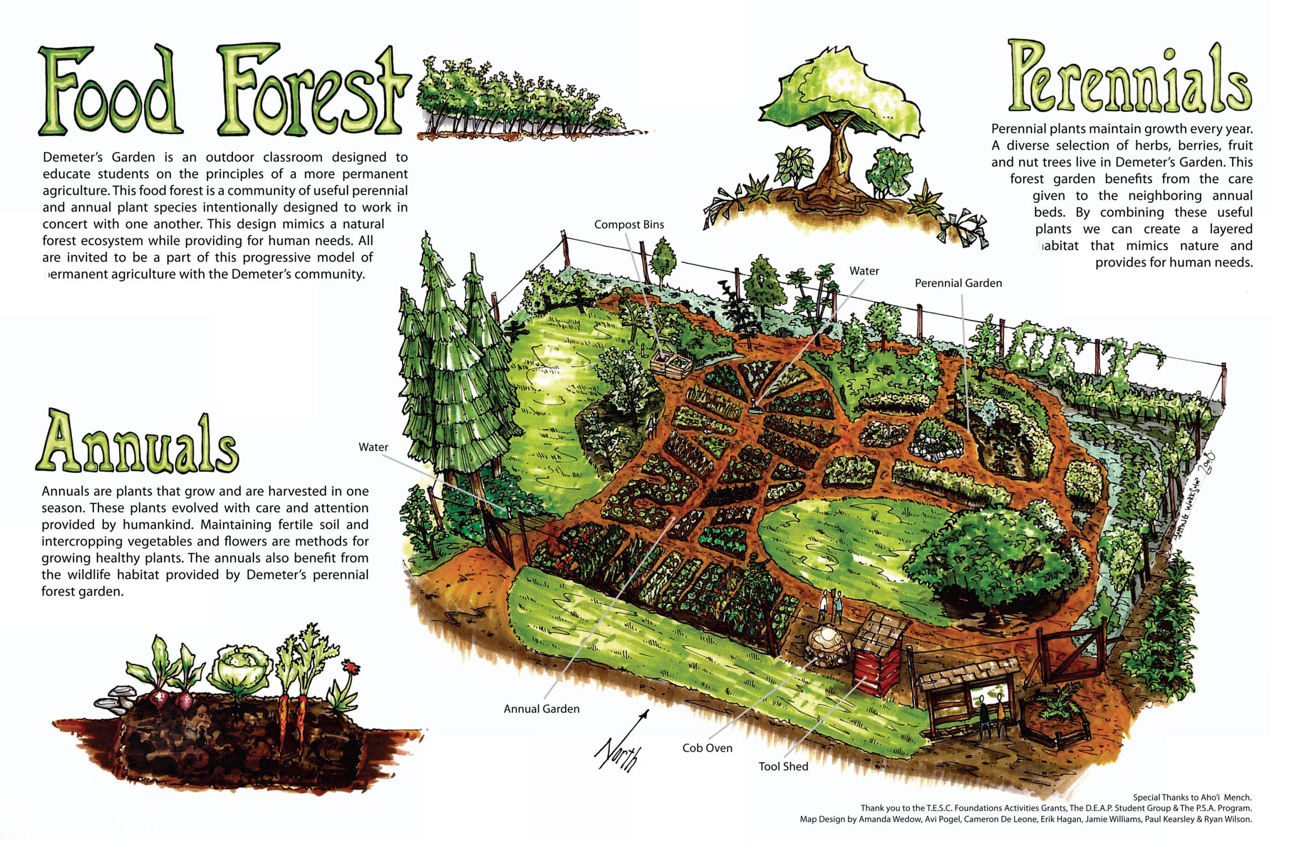 Food Forest Conceptual Diagram By Full Circle Tree Crops :: Urban Food ... pertaining to Seven Edible Roof Layouts That Maximize Space and Boost Urban Harvests