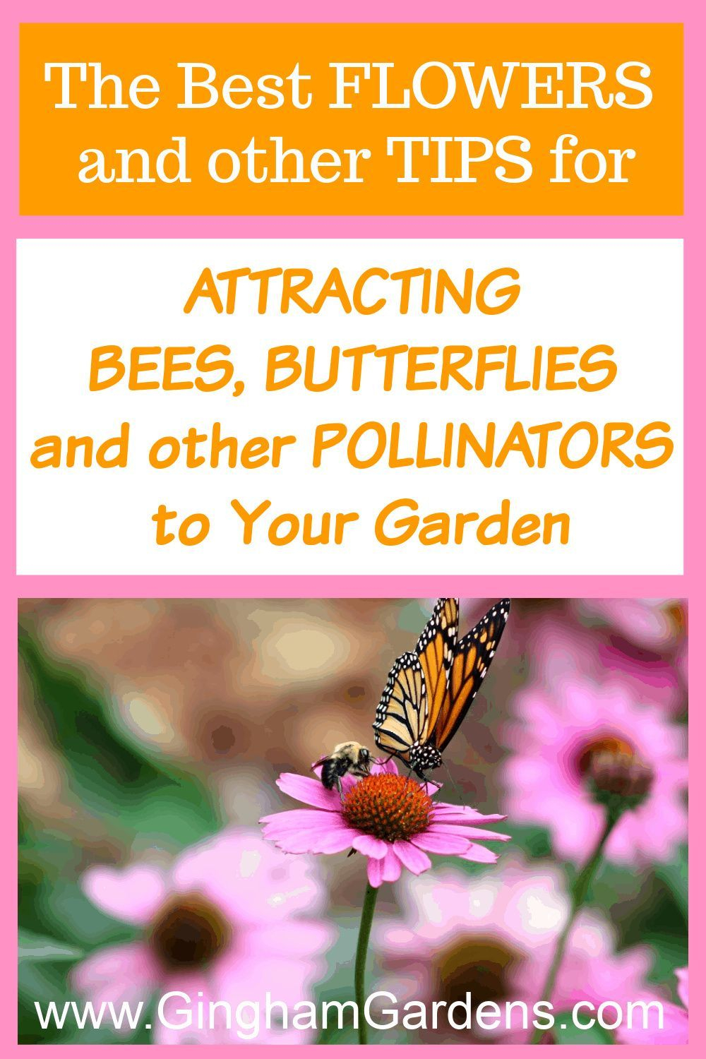 How To Attract Pollinators To Your Garden - Gingham Gardens ... regarding Outdoor Butterfly Garden Design