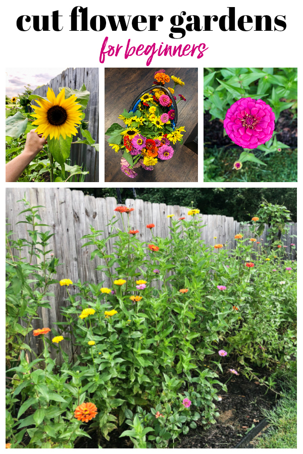 How To Create A Cut Flower Garden For Beginners Step-By-Step with Stop Guessing Start Growing Simple Layout Tips for Beginner Cut Flower Gardens