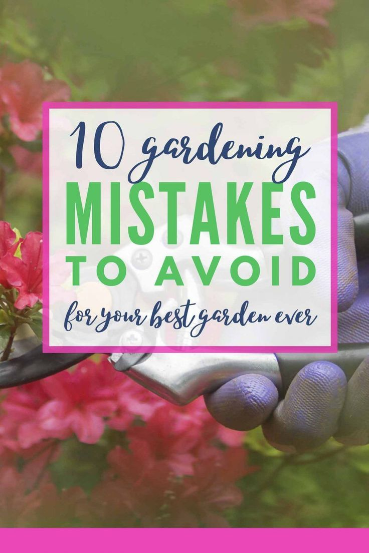 Landscaping Mistakes: Avoid These 10 Common Issues For Your Best Garden ... within Why Most Outdoor Vertical Gardens Fail and How to Avoid Common Mistakes