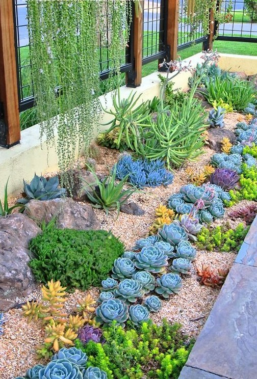 Outdoor Succulent Garden Design: Stylish And Low-Maintenance Landscaping regarding Designing a drought-proof succulent garden that thrives in 2026 heat