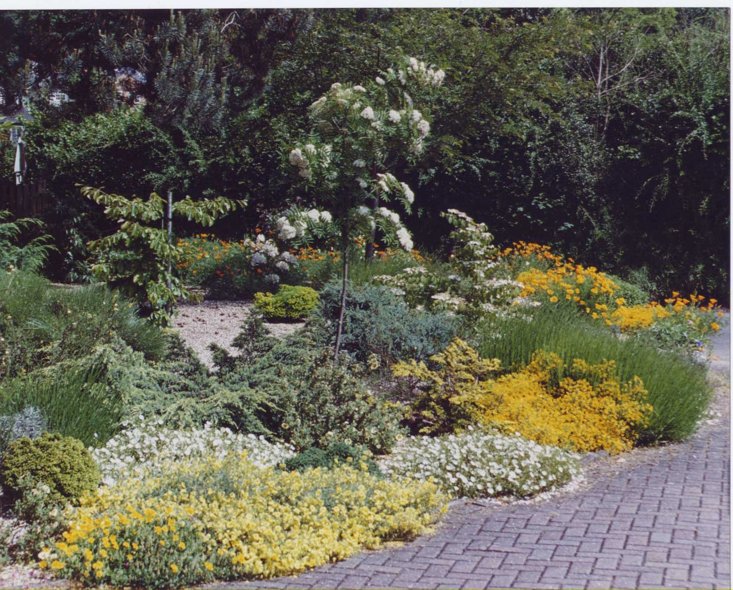 Partial To Full Shade Bog Garden Plants | How To Build A House within Turn Your Wet Yard Problem Into a Thriving Bog Garden Oasis