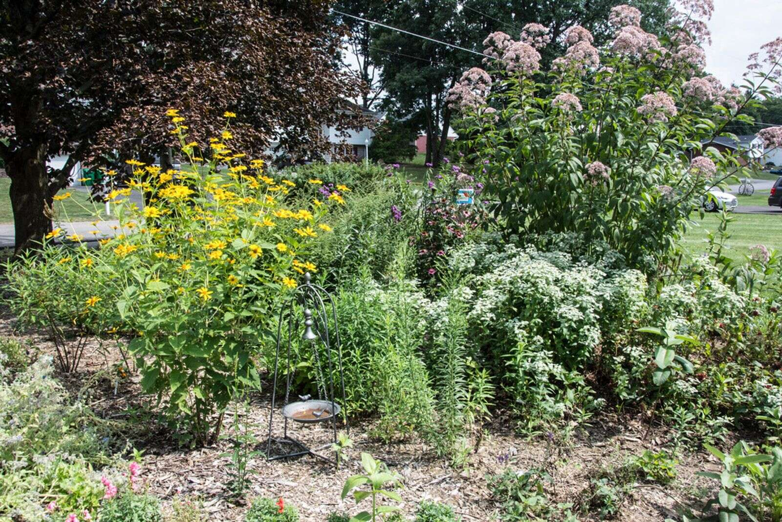Plan Now To Create Your Pollinator-Friendly Garden – Butler Eagle pertaining to Outdoor Flower Garden Design