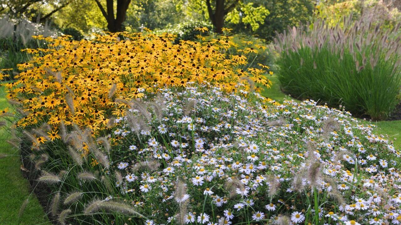 Seasonal Color Strategies For Your Garden’s Year-Round Beauty for Year Round Color Strategies for Flower Beds That Stay Beautiful Every Season