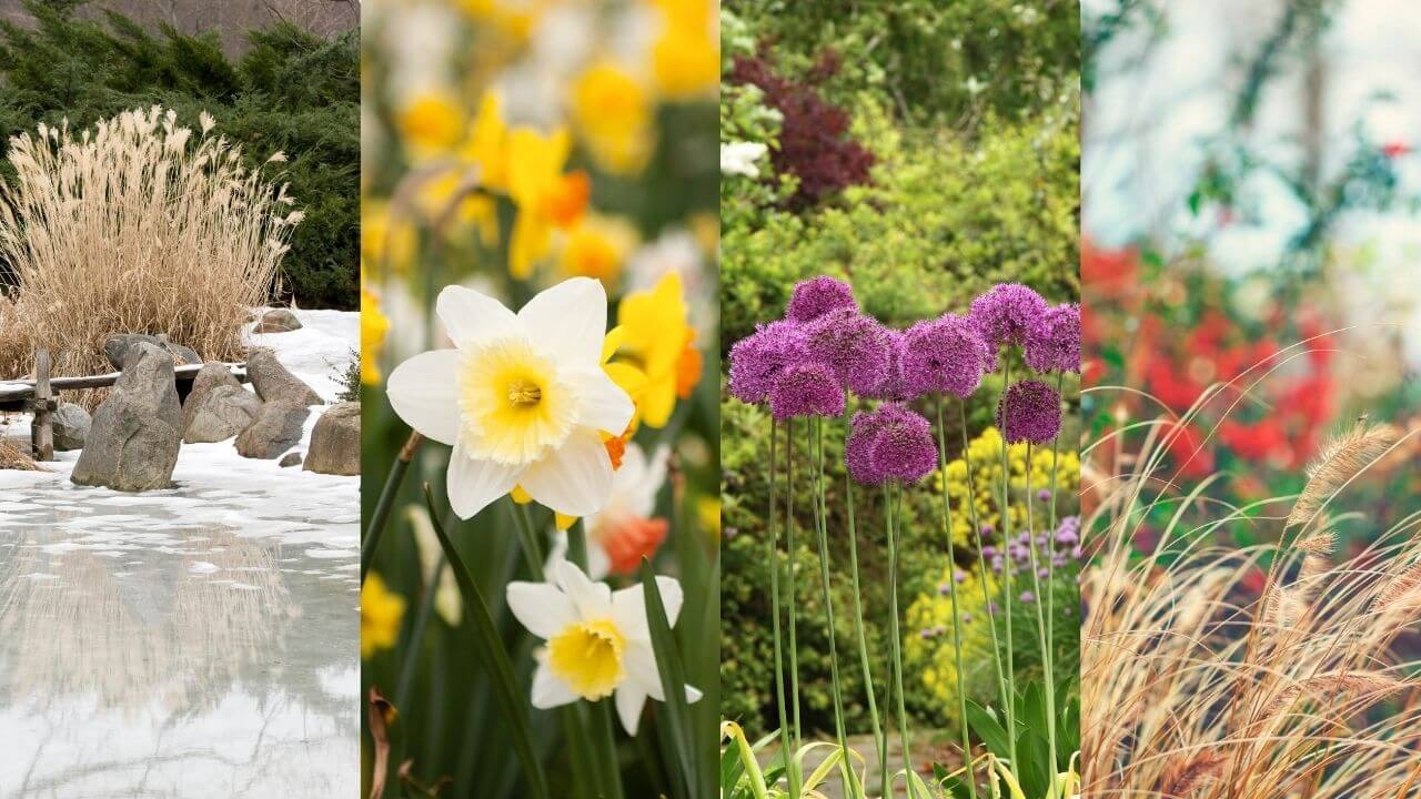 Seasonal Color Strategies For Your Garden’s Year-Round Beauty pertaining to Outdoor Garden Bed Design