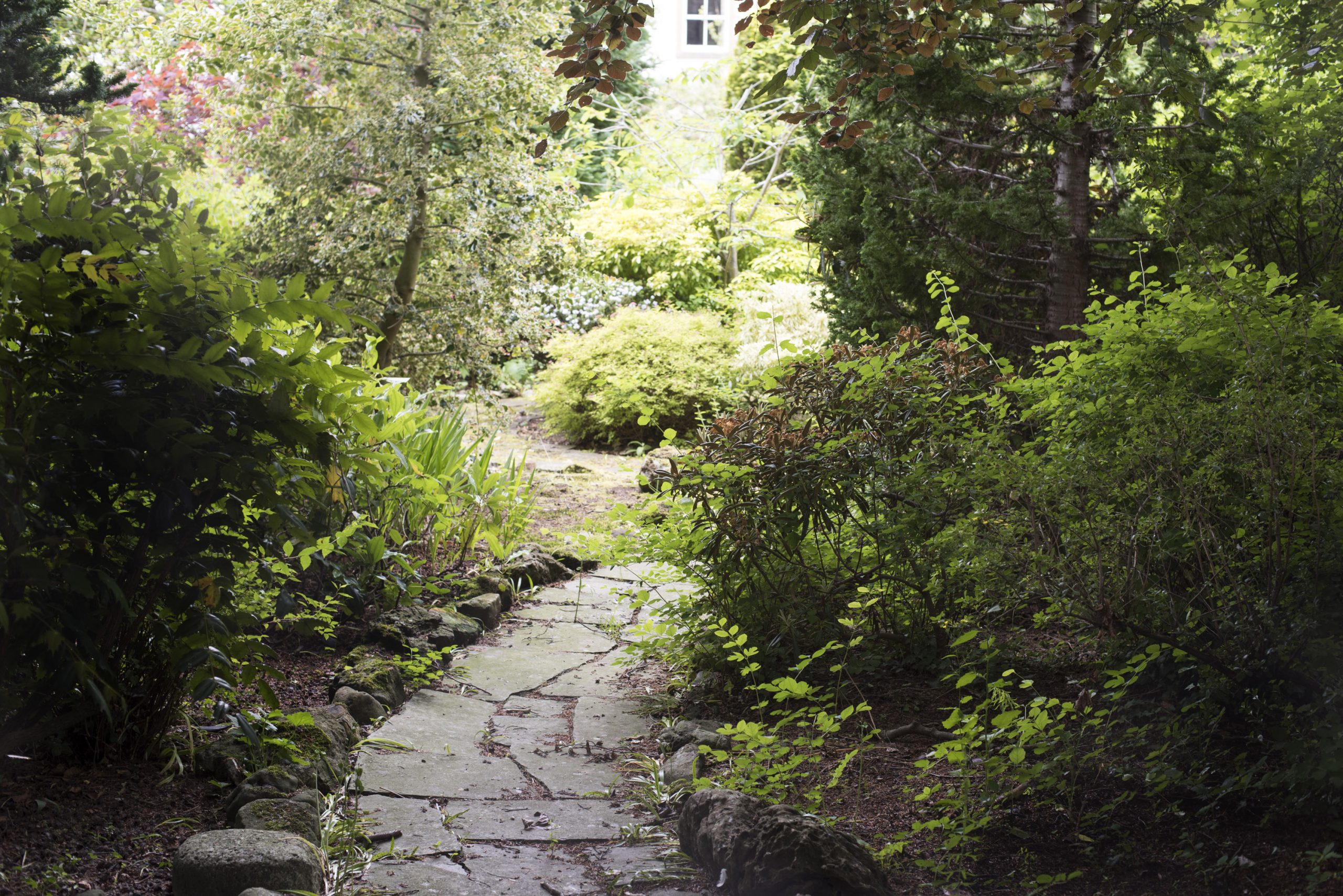 Secret Garden Path A Secret Garden No 2 for Outdoor Walkway Design