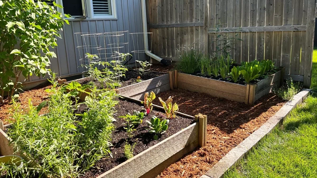 Small Space Vegetable Garden: Maximize Your Harvest In A Limited Area – Dm for Small Space Vegetable Garden Designs That Maximize Your 2026 Harvest