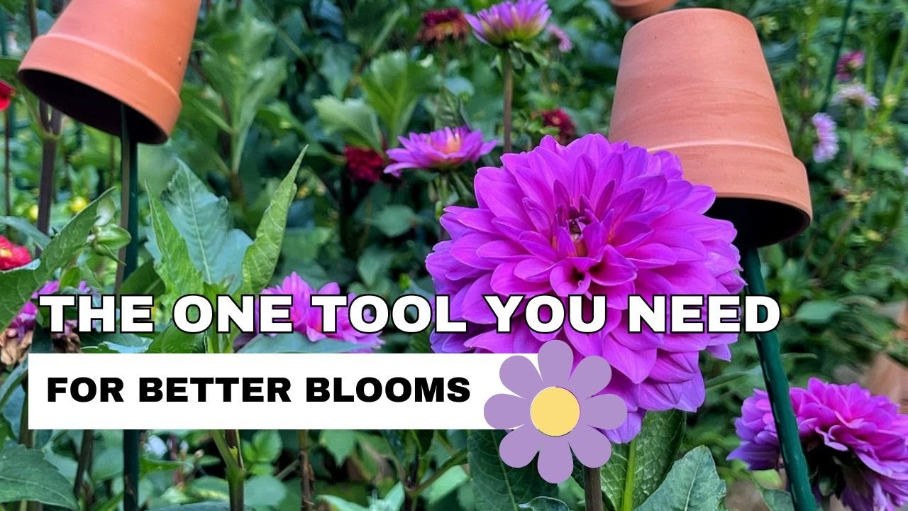 Stop Guessing, Start Growing: Why You Need A Flower Garden Planner! 🌸 ... with Stop Guessing Start Growing Simple Layout Tips for Beginner Cut Flower Gardens