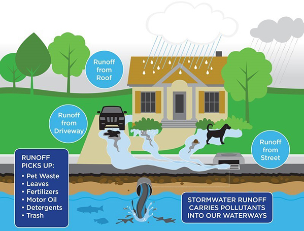 Stormwater | City Of Pompano Beach intended for Bioswale Design