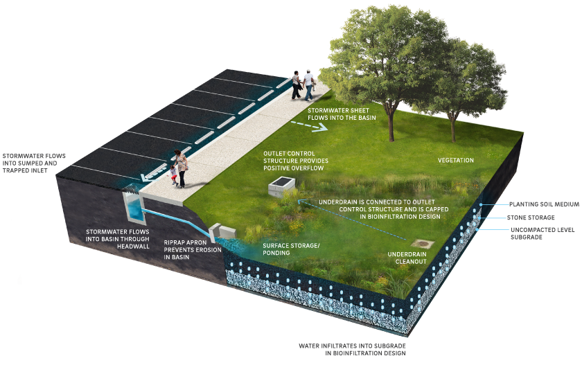 Stormwater Management Design Examples - Design Talk for Bioswale Design