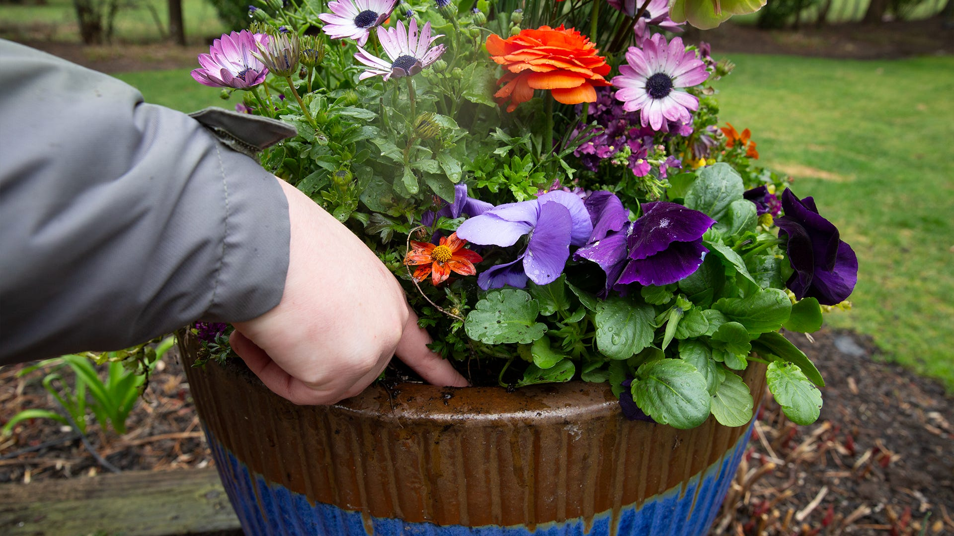 The Beginner's Guide To Watering Your Container Garden for Outdoor Planter Design