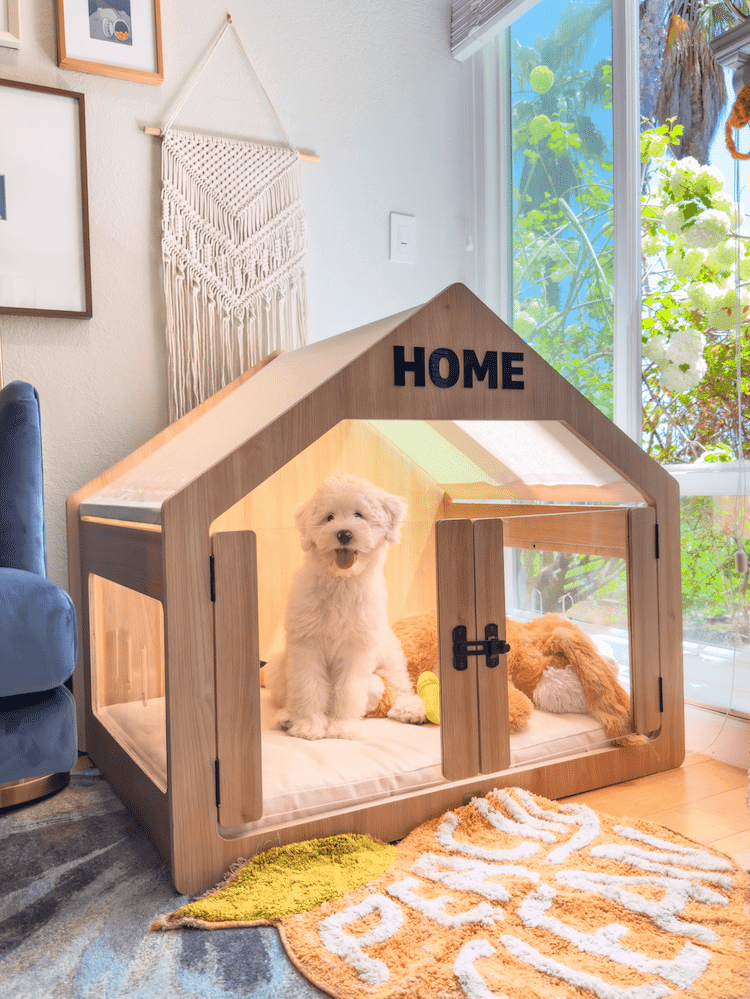This Modern Dog House Is The Perfect Home For Pups with regard to Stylish and Functional Dog House Trends Pet Owners Are Loving in 2026