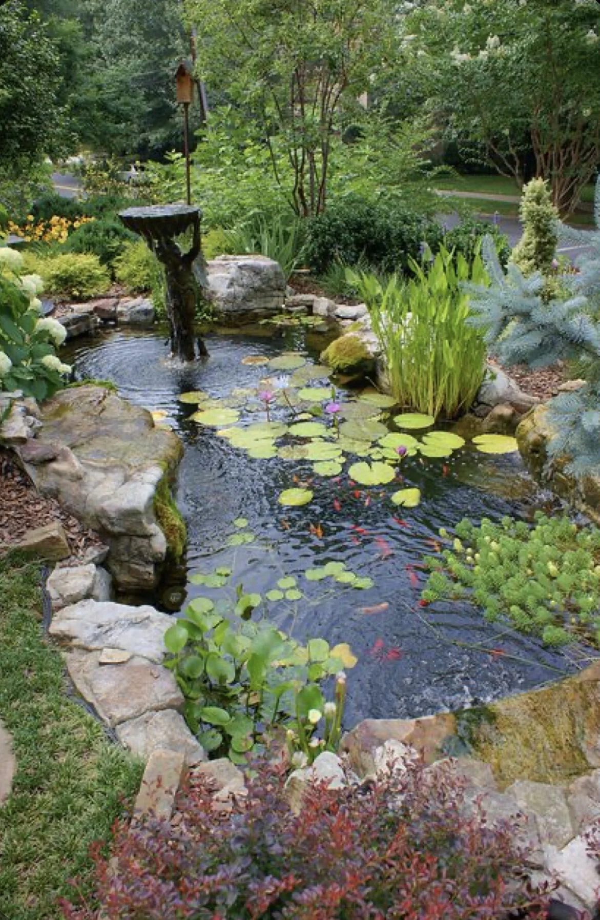 Tranquil Oasis: 30 Backyard Pond Waterfall Ideas To Create A Serene ... with regard to Outdoor Water Garden Design