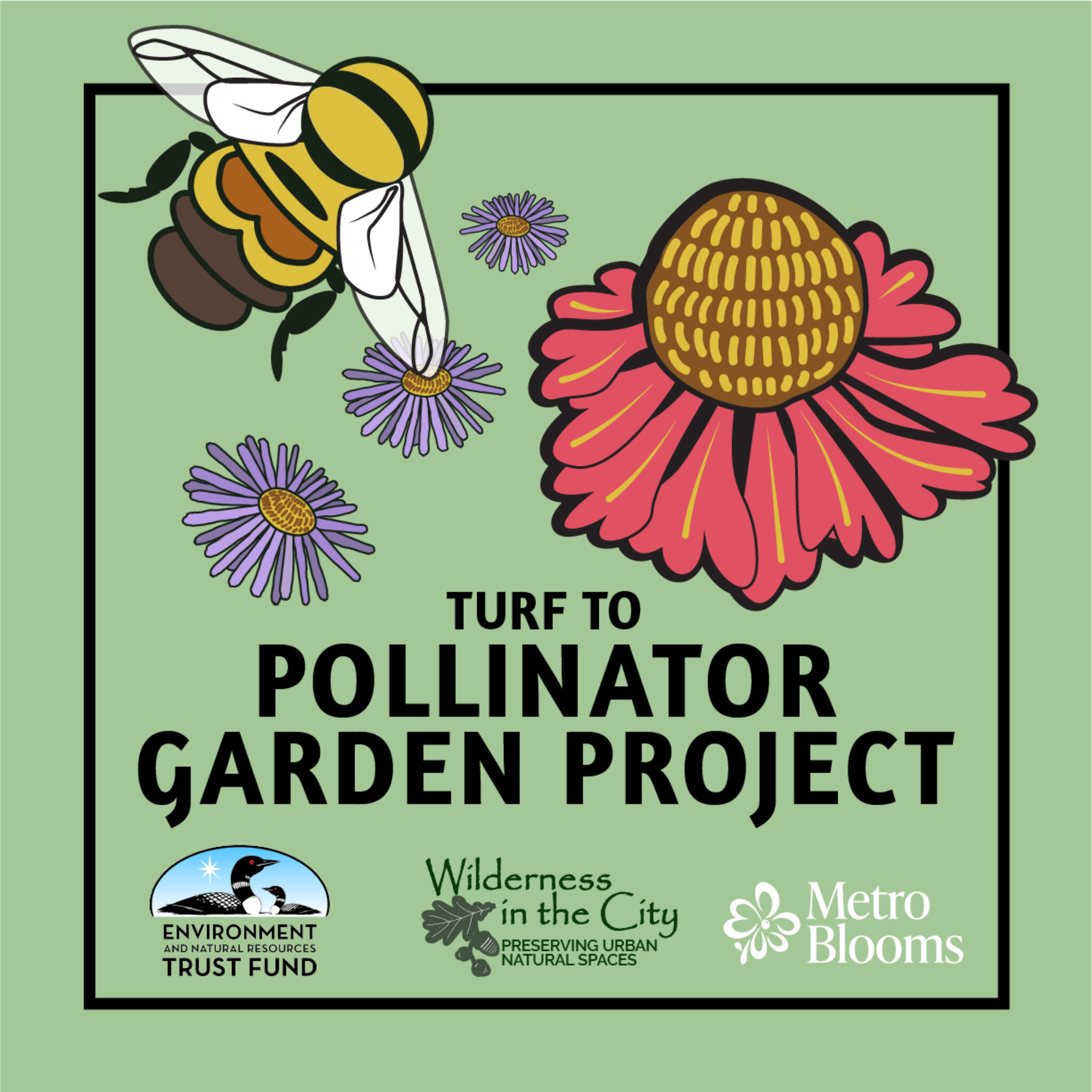 Turf To Pollinator Gardens | Metro Blooms regarding Creating Pollinator Havens Above the City Noise and Smog