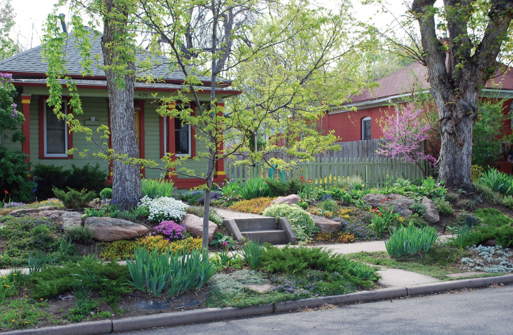 Turn Your Small Yard Into An Oasis With These Landscaping Solutions ... regarding Turn Your Wet Yard Problem Into a Thriving Bog Garden Oasis