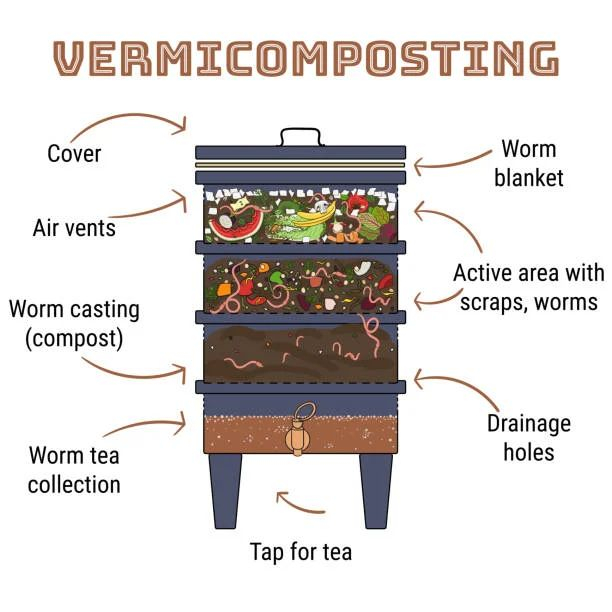 Redesigning the Home Vermicomposting Bin for Tight Kitchen Spaces