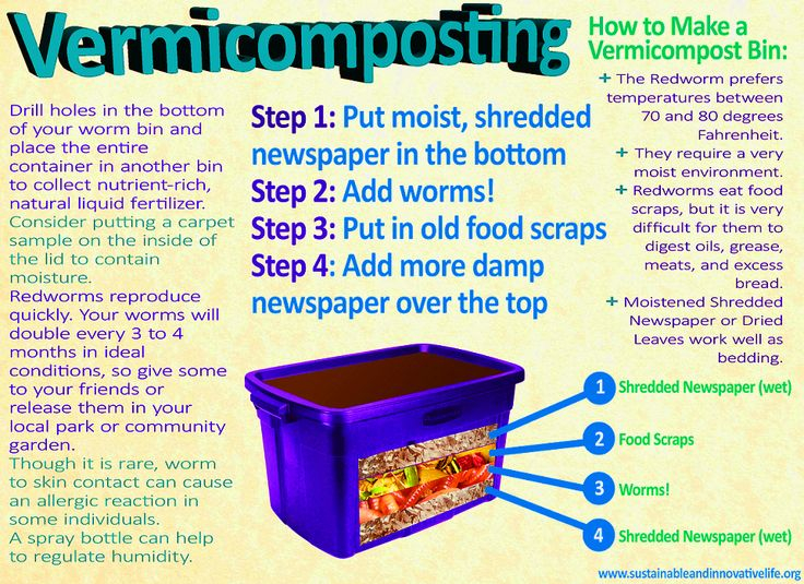 Vermicompost Bin ~ Wooden Cat House Plan inside Vermicomposting Design