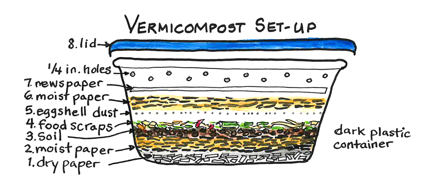 Vermiculture Bin Plans At Ethan Fuhrman Blog within Vermicomposting Design