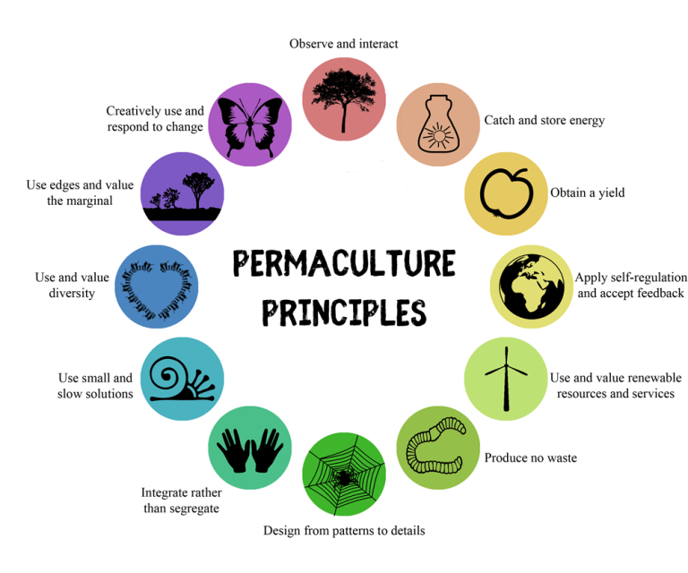 12 Permaculture Design Principles Healthy Soil Is The Foundation Of with regard to Simple permaculture principles you can apply to any home layout today