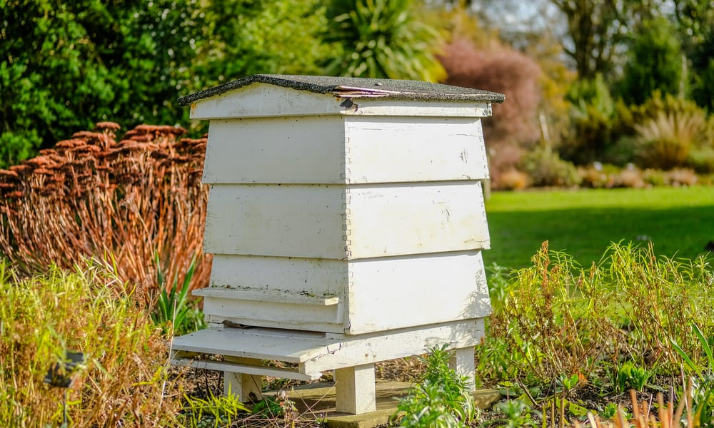 19 Easy Homemade Beehive Plans in Bee Hive Design