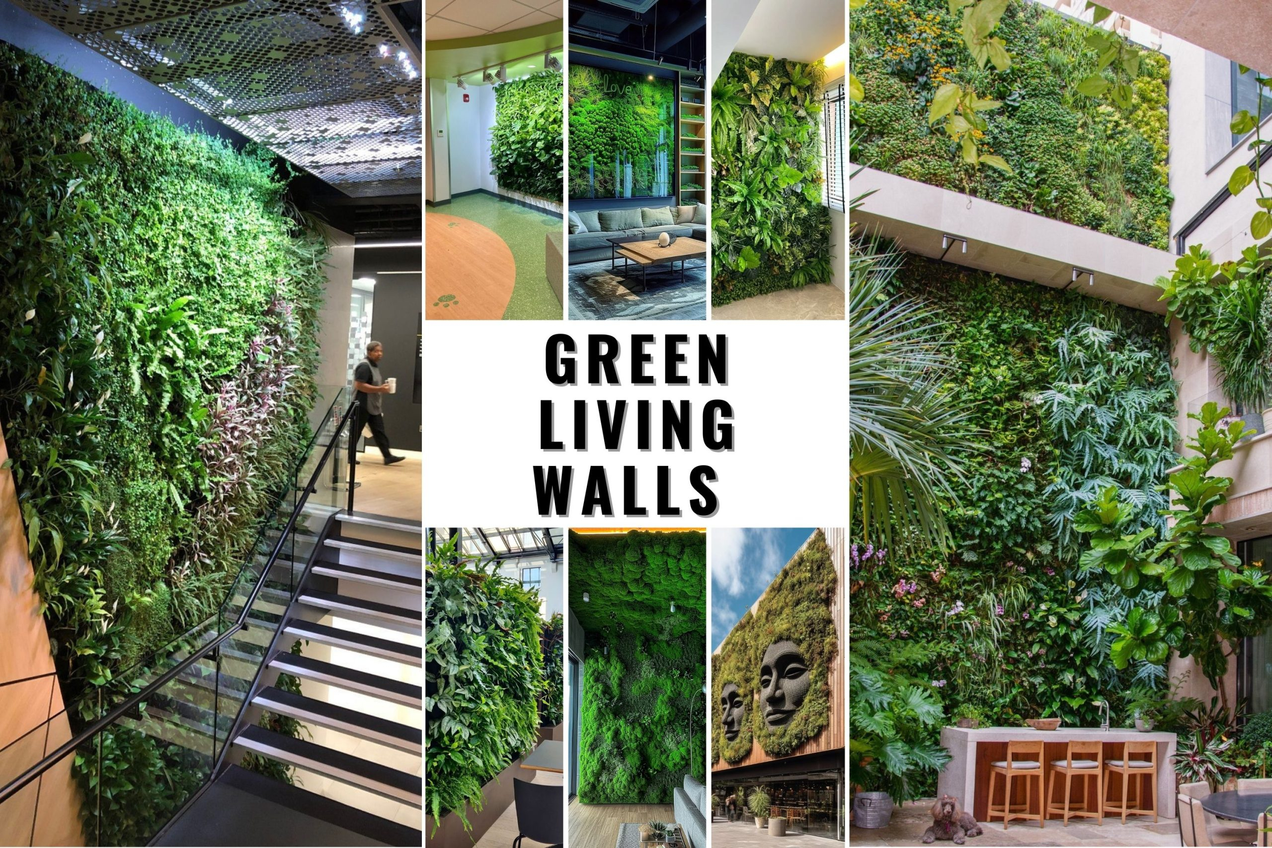 How Living Walls Are Transforming Boring Concrete into Living Ecosystems