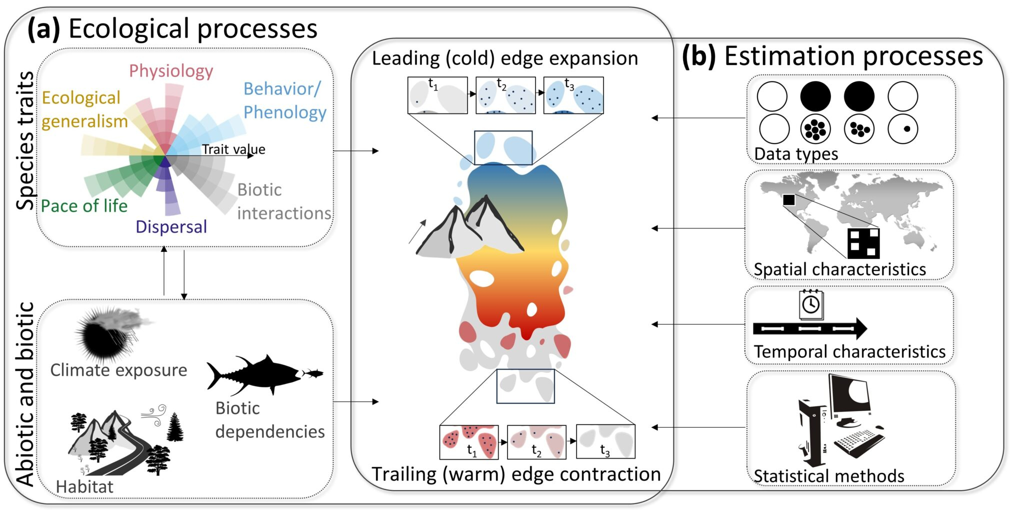 Protecting Climate Driven Range Shifts Through Strategic Conservation Design