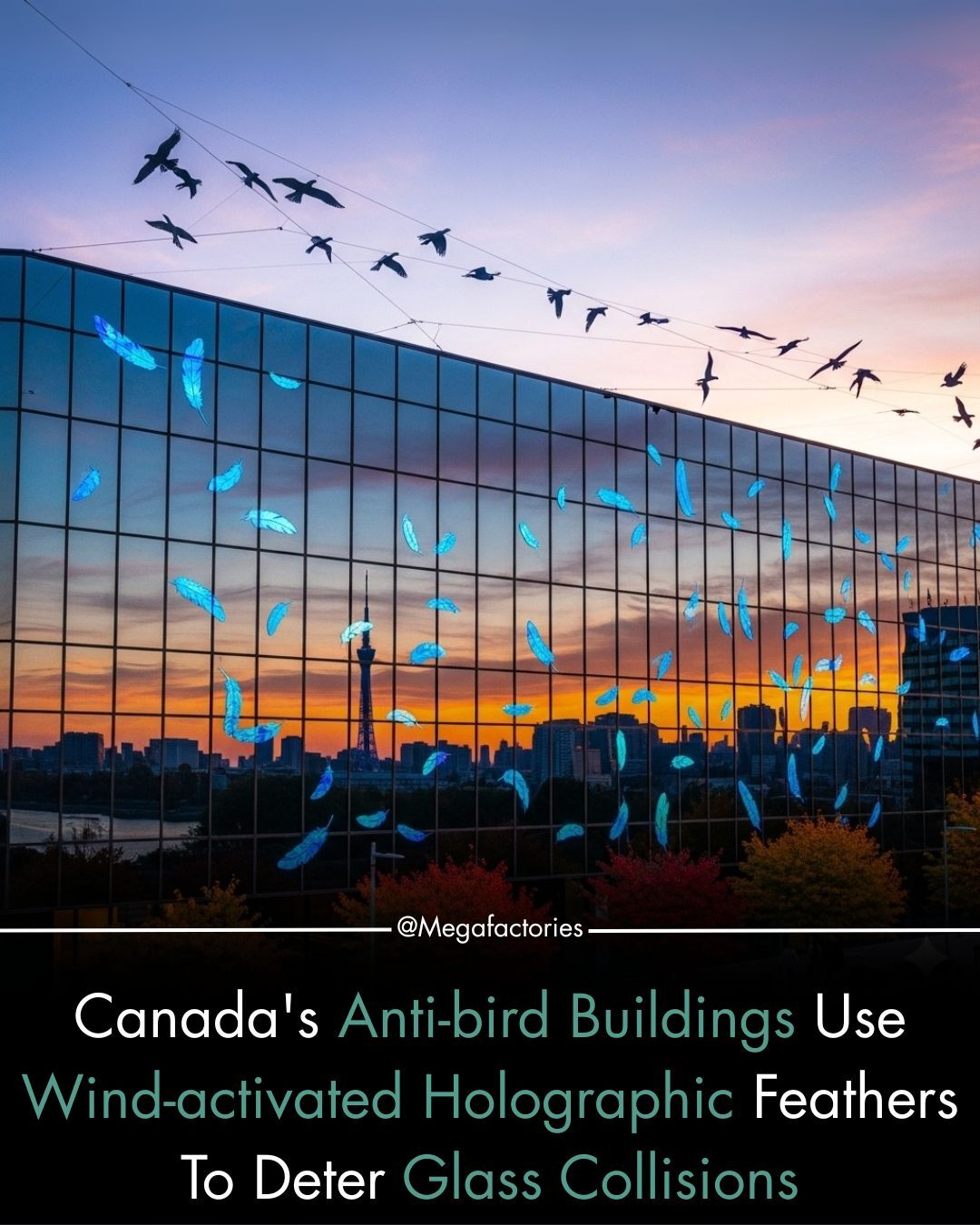 How Modern Architecture is Saving One Billion Birds from Window Collisions