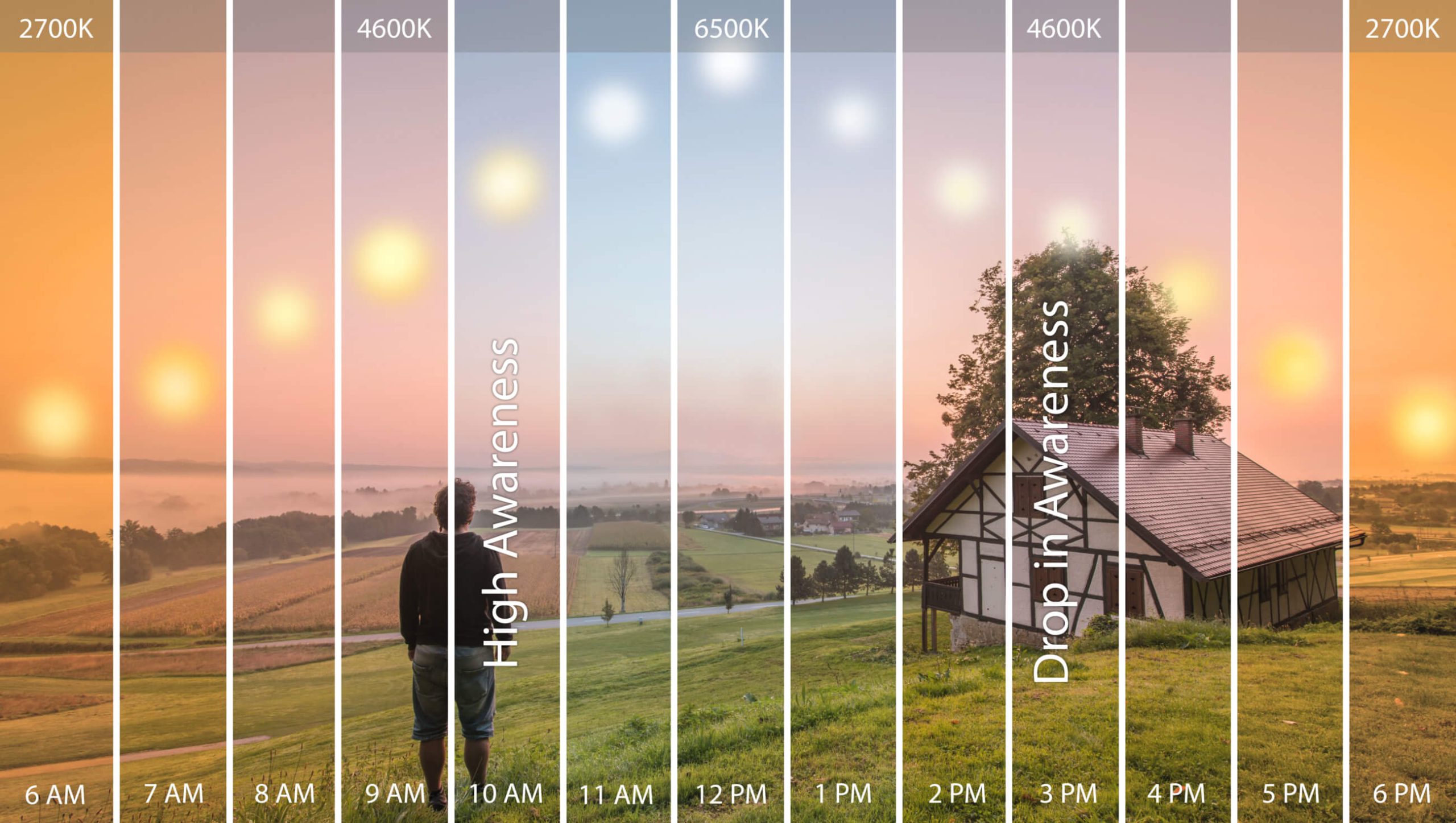 The science behind using advanced timed lighting to boost your daily energy