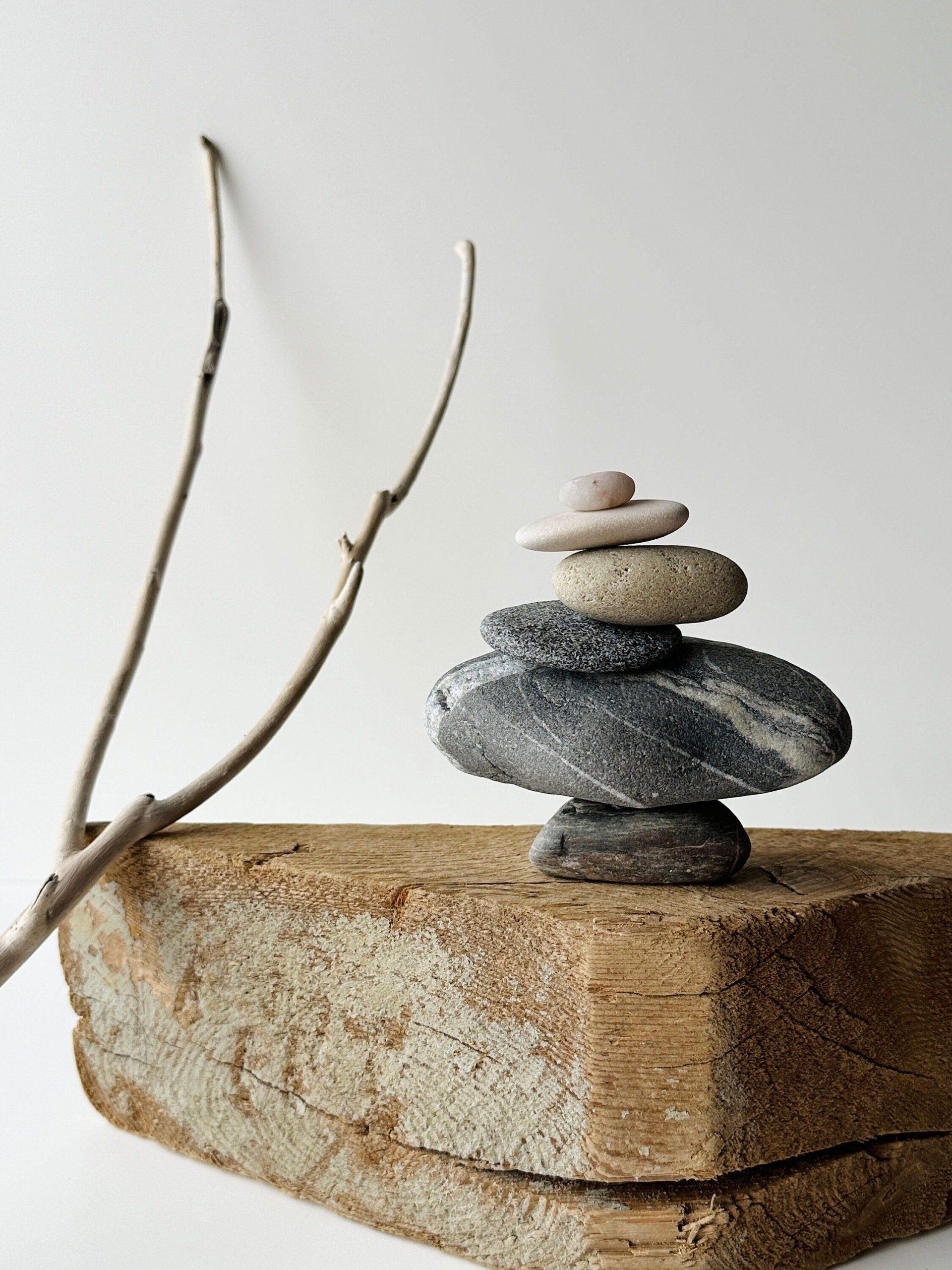Balancing Stone Wood and Glass to Create Expansive Yet Cozy Architectural Masterpieces