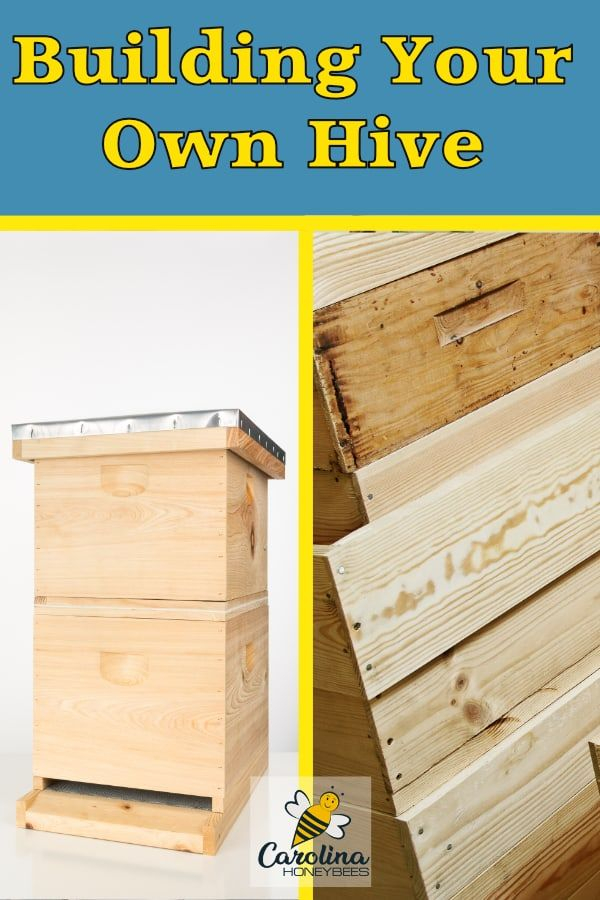 How To Build A Beehive Of Your Own - Carolina Honeybees | Bee Hive ... inside Bee Hive Design