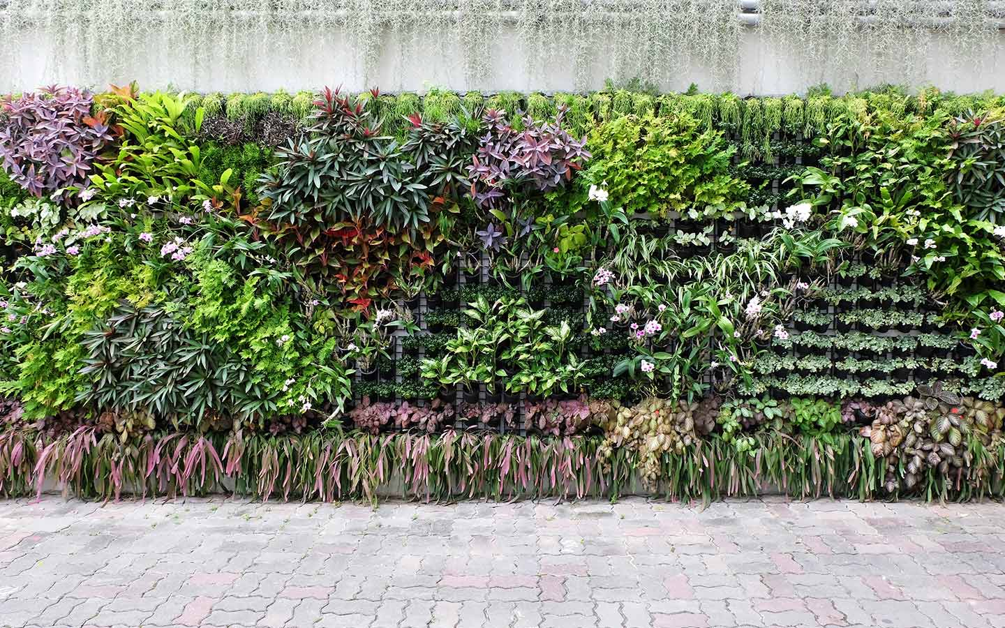 How To Go Green With Living Walls - Mybayut with regard to How Living Walls Are Transforming Boring Concrete into Living Ecosystems