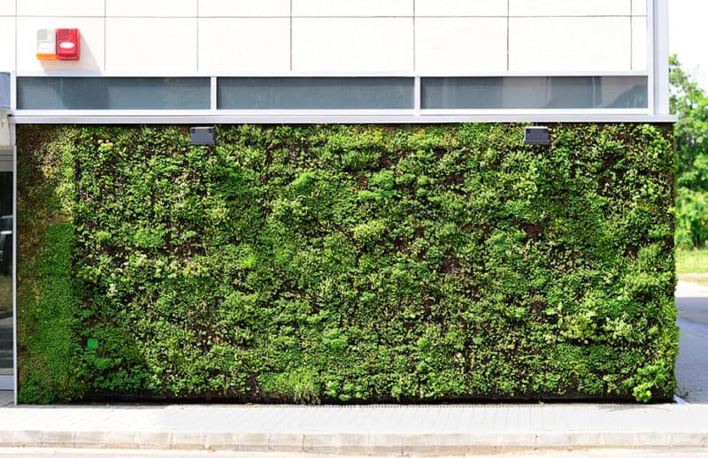 How To Make A Living Wall: The Complete Guide with regard to How Living Walls Are Transforming Boring Concrete into Living Ecosystems