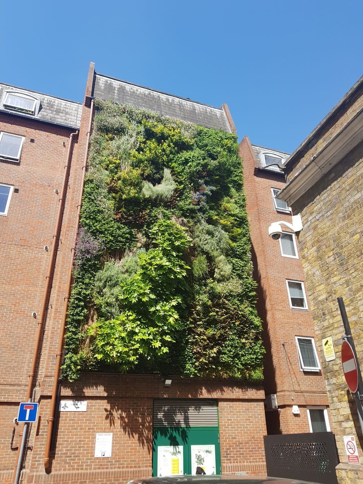 Living Walls | Green Walls | Scotscape with regard to Living Wall Design