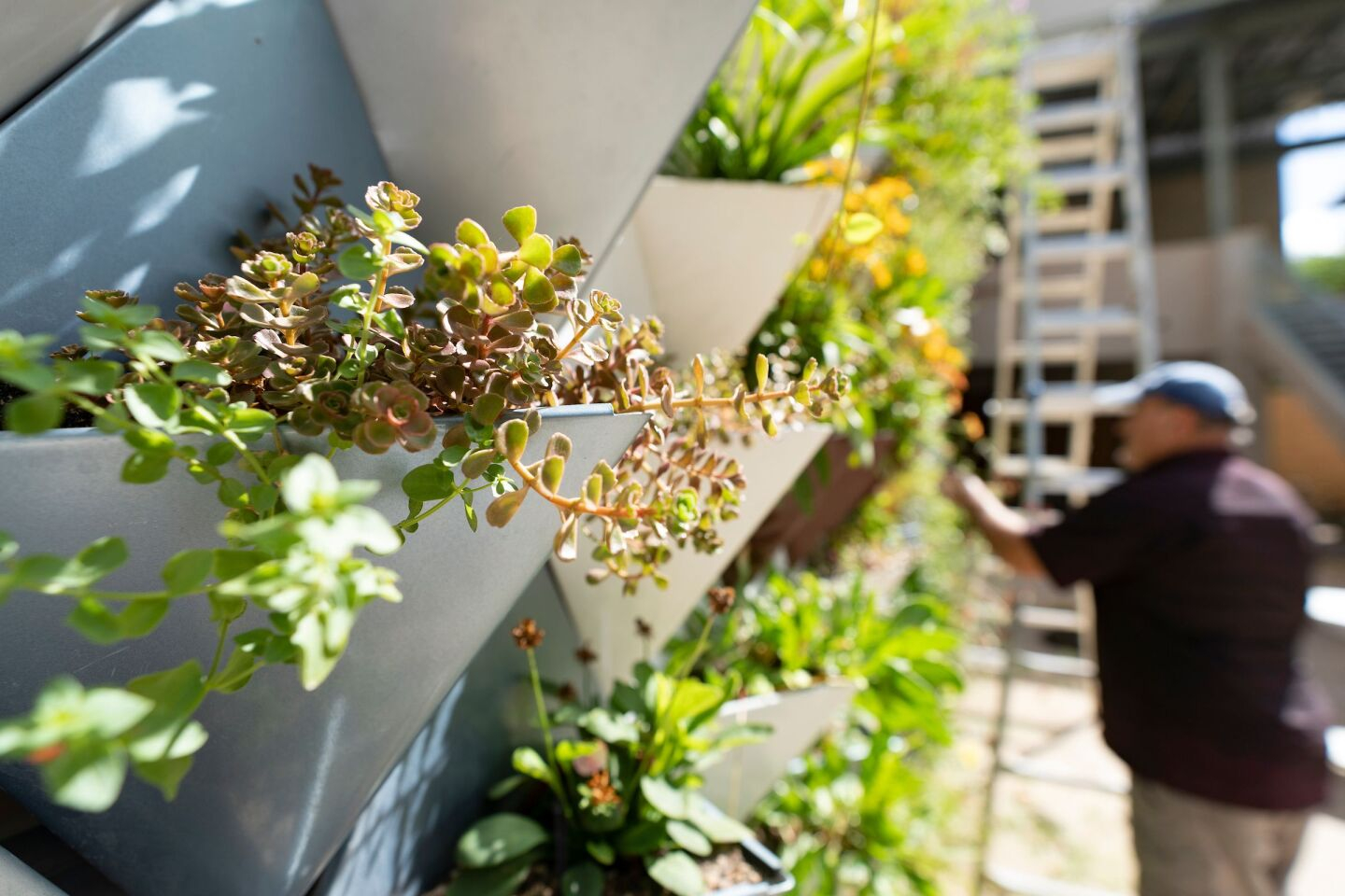 New Living Wall Uses Recycled Materials For Better Growing Conditions pertaining to Living Wall Design
