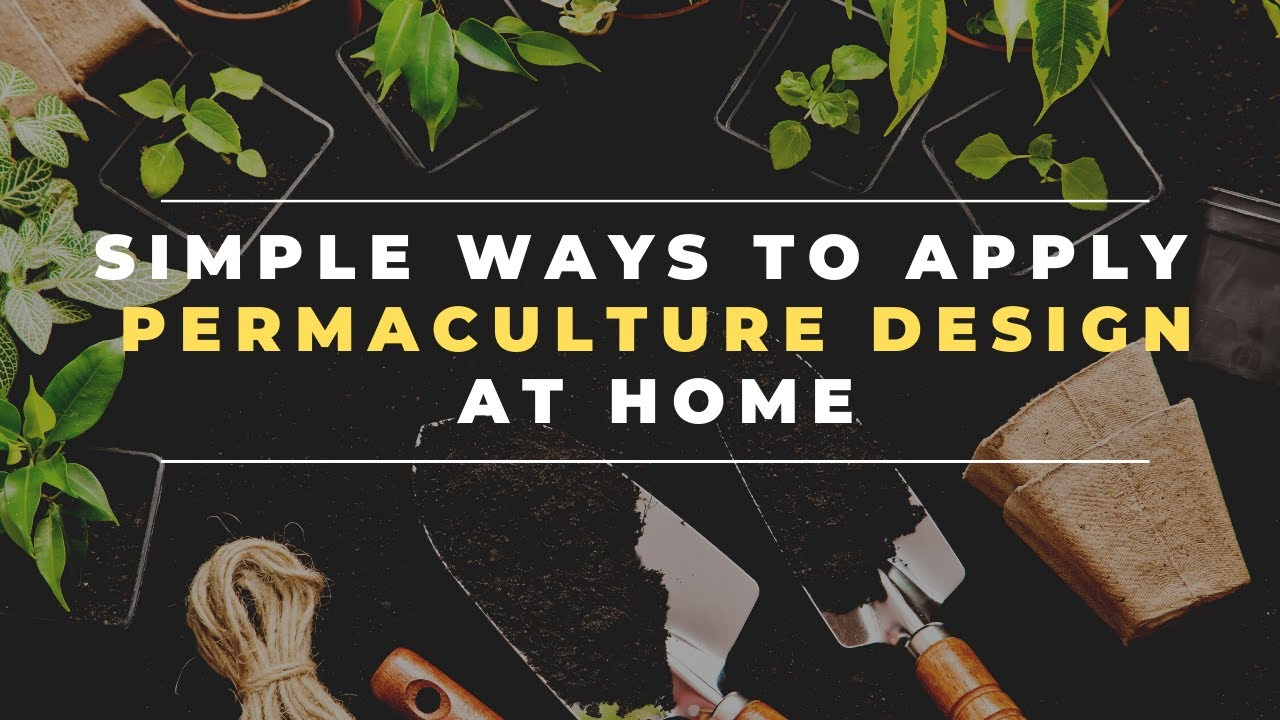 Simple Ways To Apply Permaculture Design At Home - Youtube in Permaculture Home Design