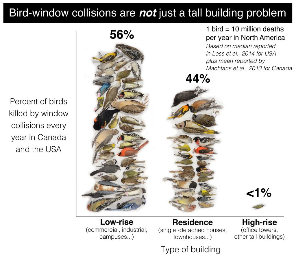 Sustainable Building Design Can Stop Millions Of Birds Deaths - Ontario ... throughout Bird Friendly Design