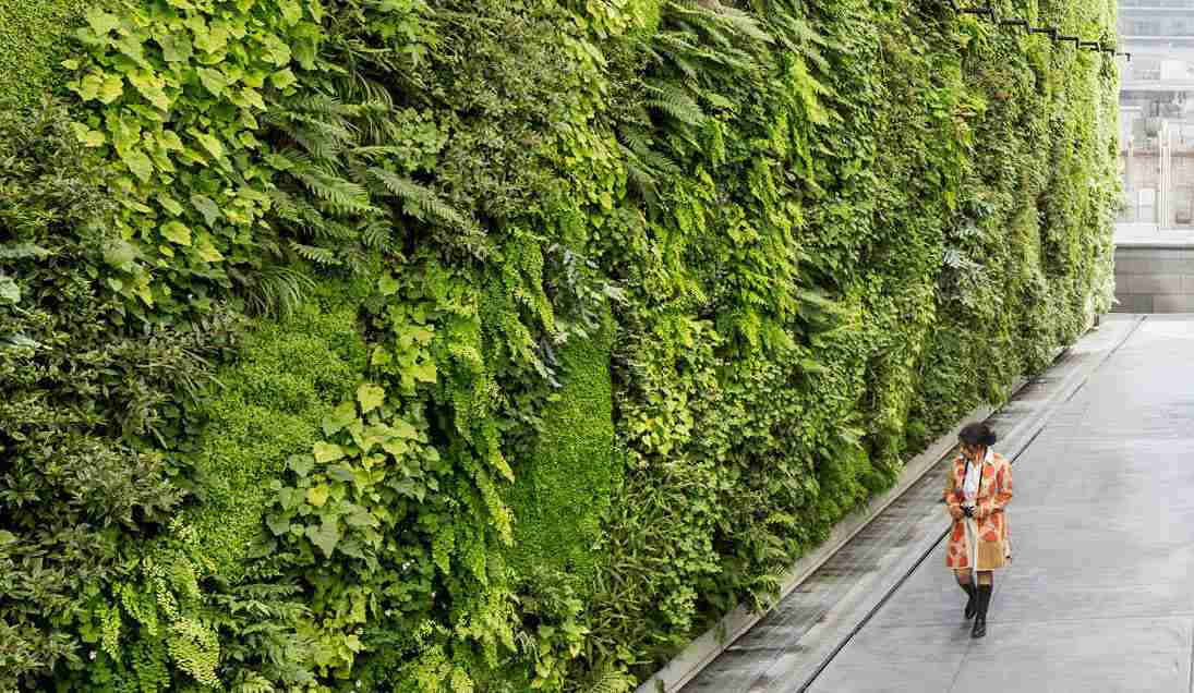 Ten Benefits Of A Living Wall - Eco Brooklyn in How Living Walls Are Transforming Boring Concrete into Living Ecosystems