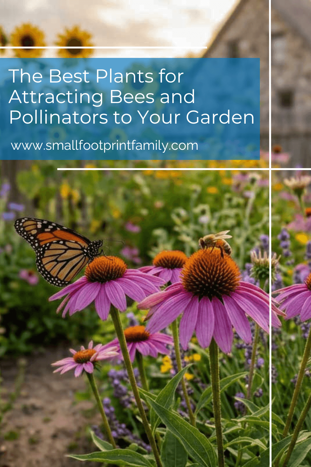 The Best Plants For Attracting Bees And Pollinators To Your Garden ... throughout Butterfly Garden Design