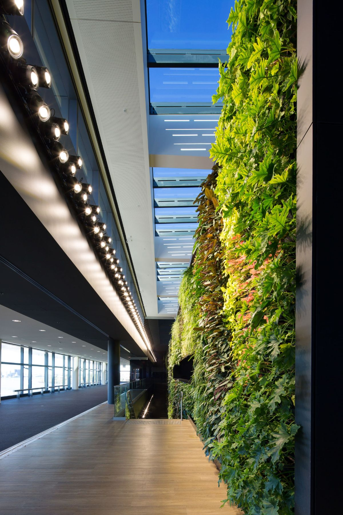 340Sqm Living Green Wall: Creating A Healthy Indoor Environment ... inside Creating Healthier Indoor Environments by Predicting How Natural Light Behaves
