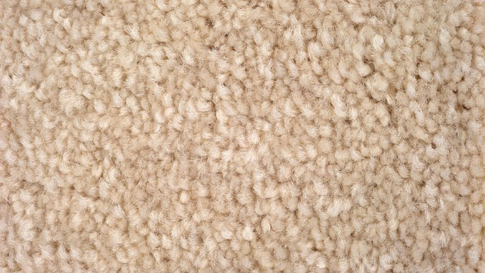 A Glossary Of Carpets And Rugs | Realtor.com® throughout Frieze Carpet Design