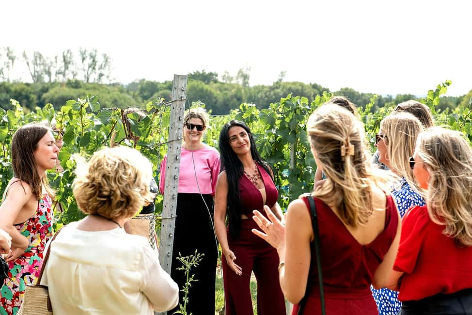 Bodiam: Vineyard Tour And Wine Tasting Experience | Getyourguide in What Every Vineyard Owner Gets Wrong About Tasting Room Flow
